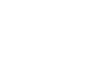 Honda Cical - Portfolio WLIB