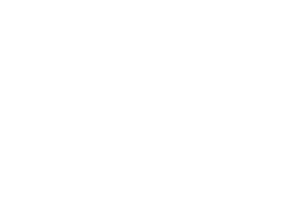Olá Telecom - Portfolio WLIB